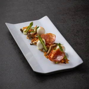 Costa Nova | Coastland Rectangular Plate/Tray