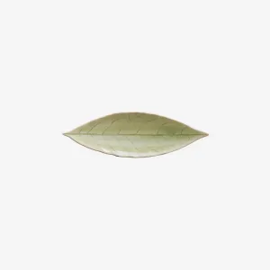 Costa Nova | Riviera Vert Frais Laurel Leaf