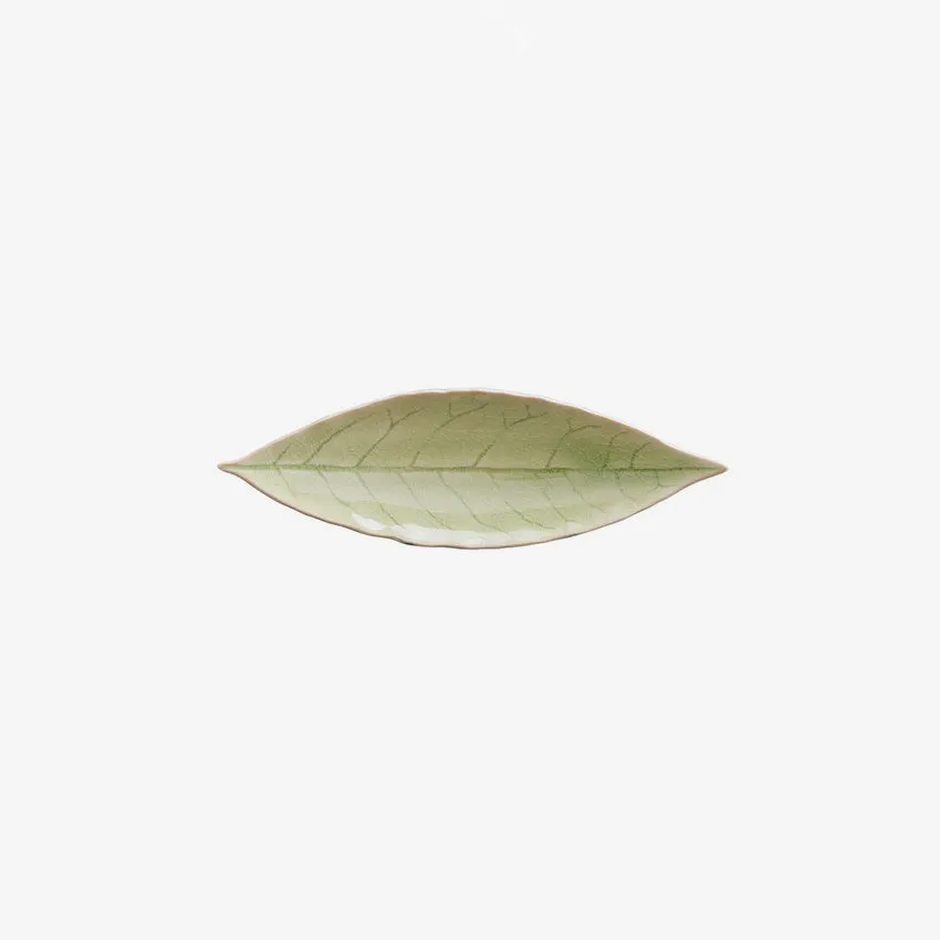 Costa Nova | Riviera Vert Frais Laurel Leaf