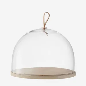Lsa | Ivalo Dome & Ash Base