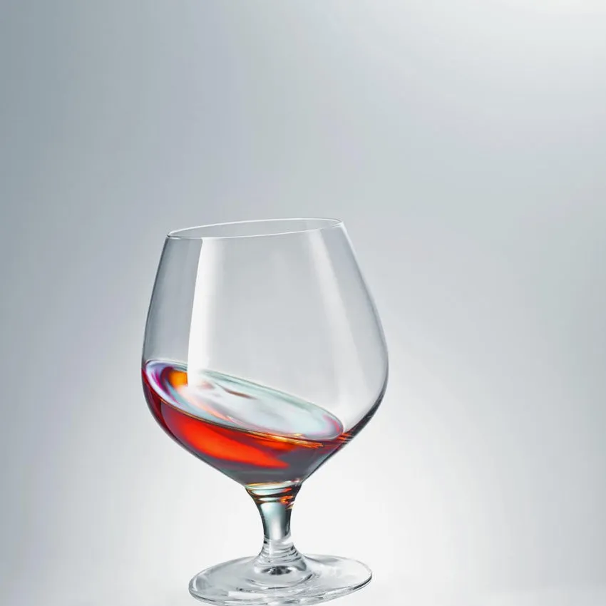 Schott Zwiesel | Mondial Brandy Snifter - Set of 6