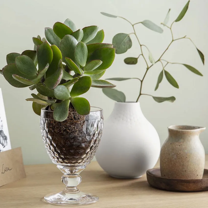 Villeroy & Boch | Boston Goblets - Clear - Set of 4